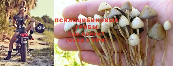 бошки Балахна