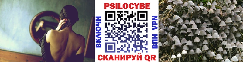 Галлюциногенные грибы Magic Shrooms  даркнет сайт  Покровск 